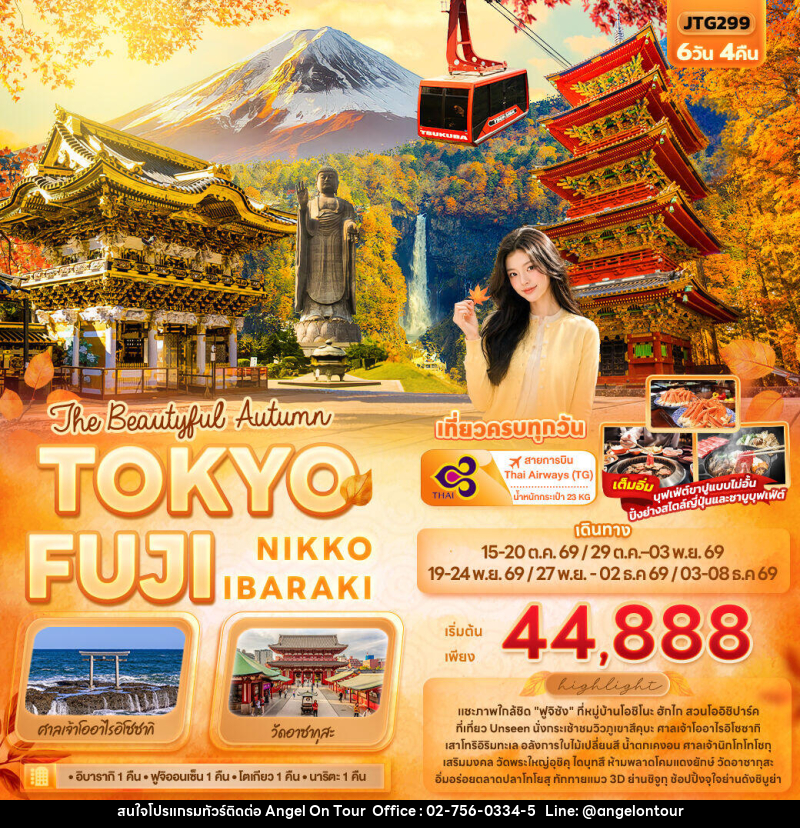 ทัวร์ญี่ปุ่น The Beautyful Autumn TOKYO FUJI NIKKO IBARAKI - บริษัท แองเจิลออนทัวร์ จำกัด