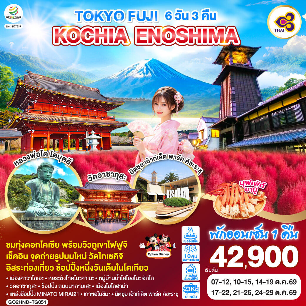 ทัวร์ญี่ปุ่น TOKYO FUJI KOCHIA ENOSHIMA - บริษัท แองเจิลออนทัวร์ จำกัด