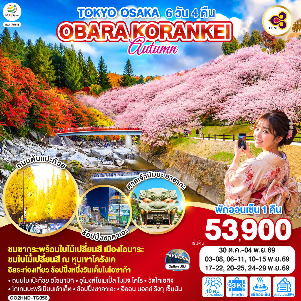 ทัวร์ญี่ปุ่น TOKYO OSAKA OBARA KORANKEI AUTUMN - บริษัท แองเจิลออนทัวร์ จำกัด