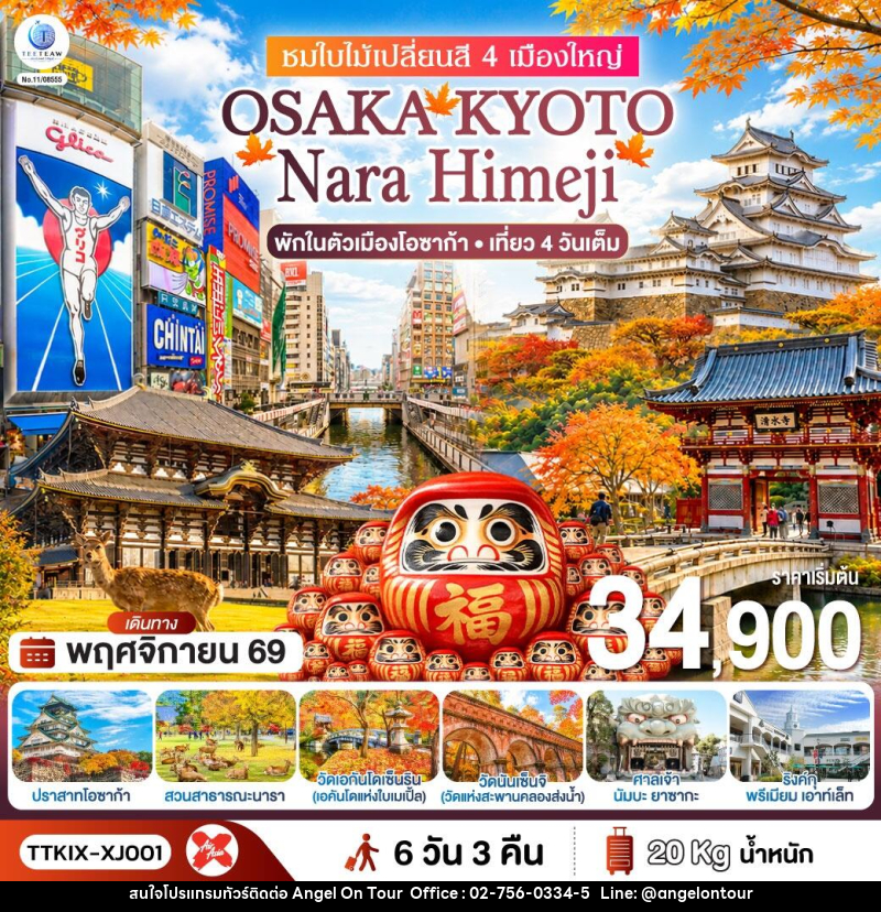 ทัวร์ญี่ปุ่น OSAKA KYOTO NARA HIMEJI ชมใบไม้เปลี่ยนสี 4 เมืองใหญ่ - บริษัท แองเจิลออนทัวร์ จำกัด