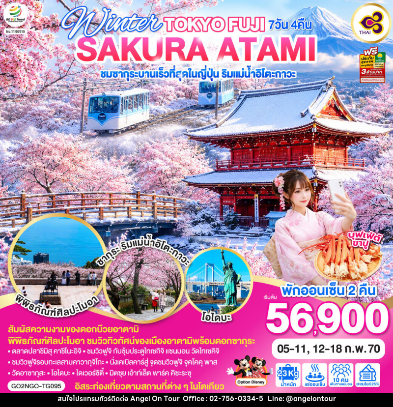 ทัวร์ญี่ปุ่น WINTER TOKYO FUJI SAKURA ATAMI - บริษัท แองเจิลออนทัวร์ จำกัด