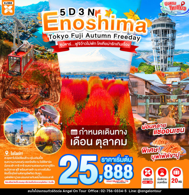 ทัวร์ญี่ปุ่น ENOSHIMA TOKYO FUJI AUTUMN FREEDAY  ซุปตาร์...ฟูจิว้าวไม่พัก โคเคียน่ารักเกินเรื่อง - บริษัท แองเจิลออนทัวร์ จำกัด
