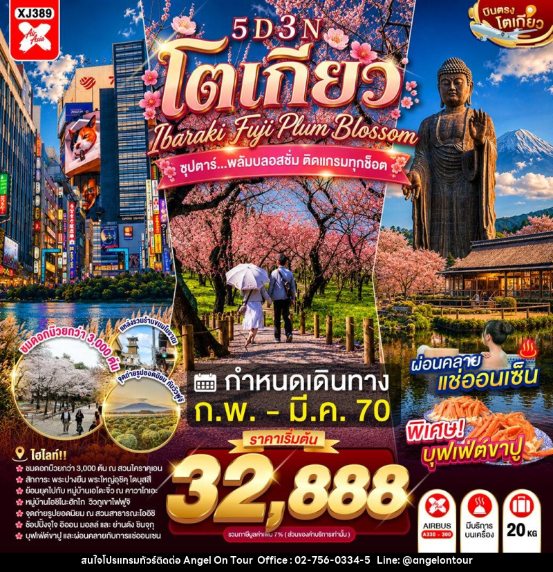 ทัวร์ญี่ปุ่น TOKYO IBARAKI FUJI PLUM BLOSSOM - บริษัท แองเจิลออนทัวร์ จำกัด