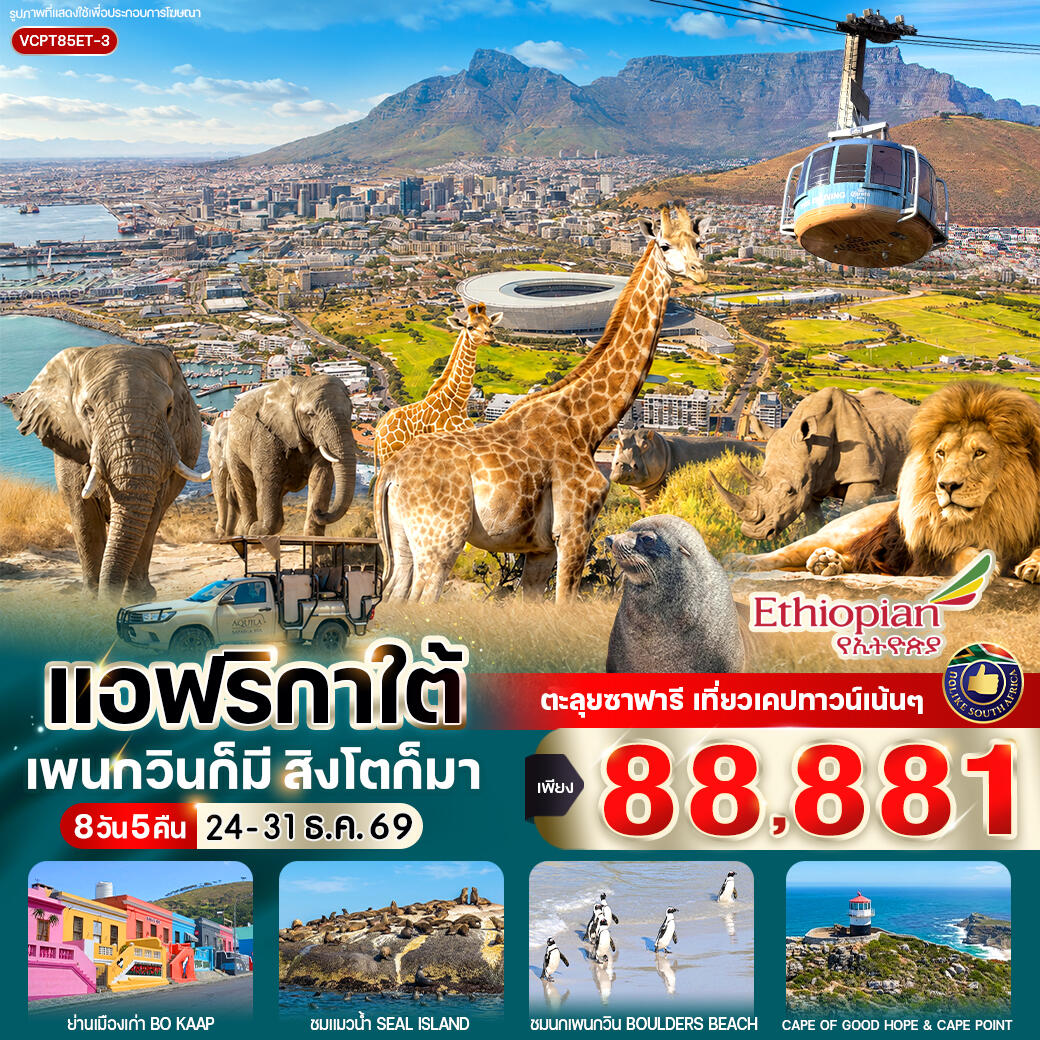 ทัวร์แอฟริกาใต้ แพนกวินก็มี สิงโตก็มา - บริษัท แองเจิลออนทัวร์ จำกัด