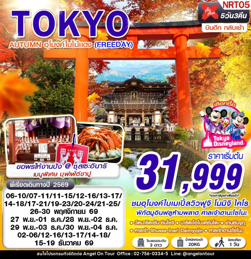ทัวร์ญี่ปุ่น  TOKYO AUTUMN อุโมงค์ใบไม้แดง (FREEDAY) - บริษัท แองเจิลออนทัวร์ จำกัด