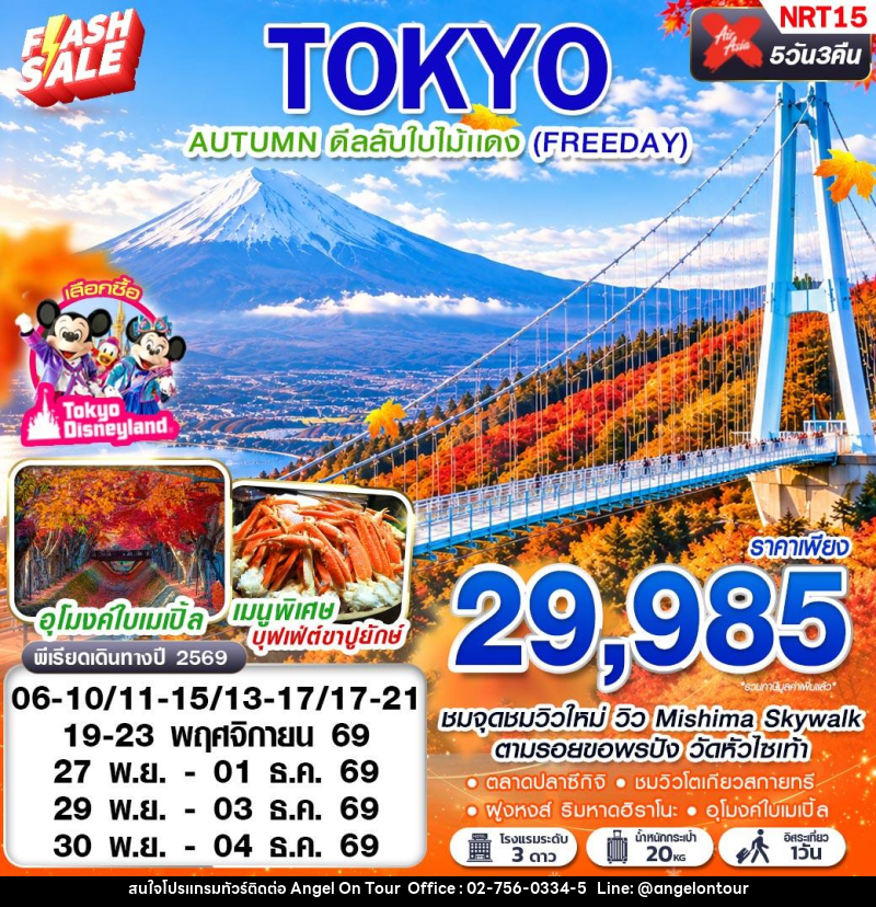 ทัวร์ญี่ปุ่น TOKYO AUTUMN ดีลลับใบไม้แดง (FREEDAY) - บริษัท แองเจิลออนทัวร์ จำกัด