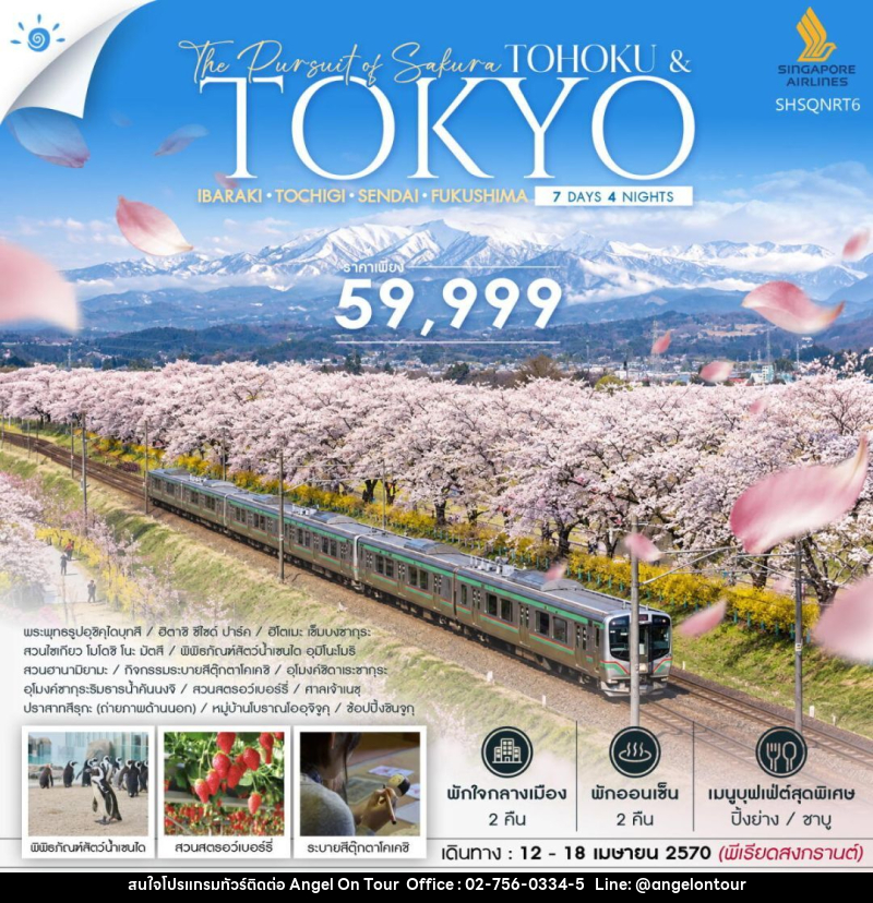 ทัวร์ญี่ปุ่น-โตเกียว-โทโฮคุ-เซ็นได ทัวร์ THE PURSUIT OF SAKURA TOHOKU & TOKYO SONGKRAN 7 วัน 4 คืน (SQ) - บริษัท แองเจิลออนทัวร์ จำกัด
