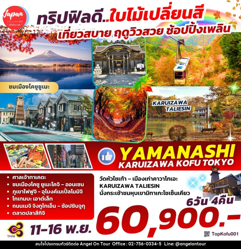 ทัวร์ญี่ปุ่น ทริปฟิลดี...ใบไม้เปลี่ยนสี เที่ยวสบาย ฤดูวิวสวย ช้อปปิ้งเพลิน YAMANASHI KARUIZAWA KOFU TOKYO - บริษัท แองเจิลออนทัวร์ จำกัด
