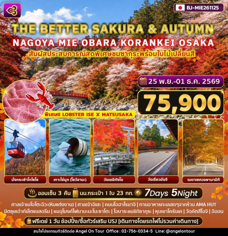 ทัวร์ญี่ปุ่น THE BETTER SAKURA & AUTUMN NAGOYA - MIE - OBARA - KORANKEI - OSAKA - บริษัท แองเจิลออนทัวร์ จำกัด ทัวร์ญี่ปุ่น THE BETTER SAKURA & AUTUMN NAGOYA - MIE - OBARA - KORANKEI - OSAKA - บริษัท แองเจิลออนทัวร์ จำกัด