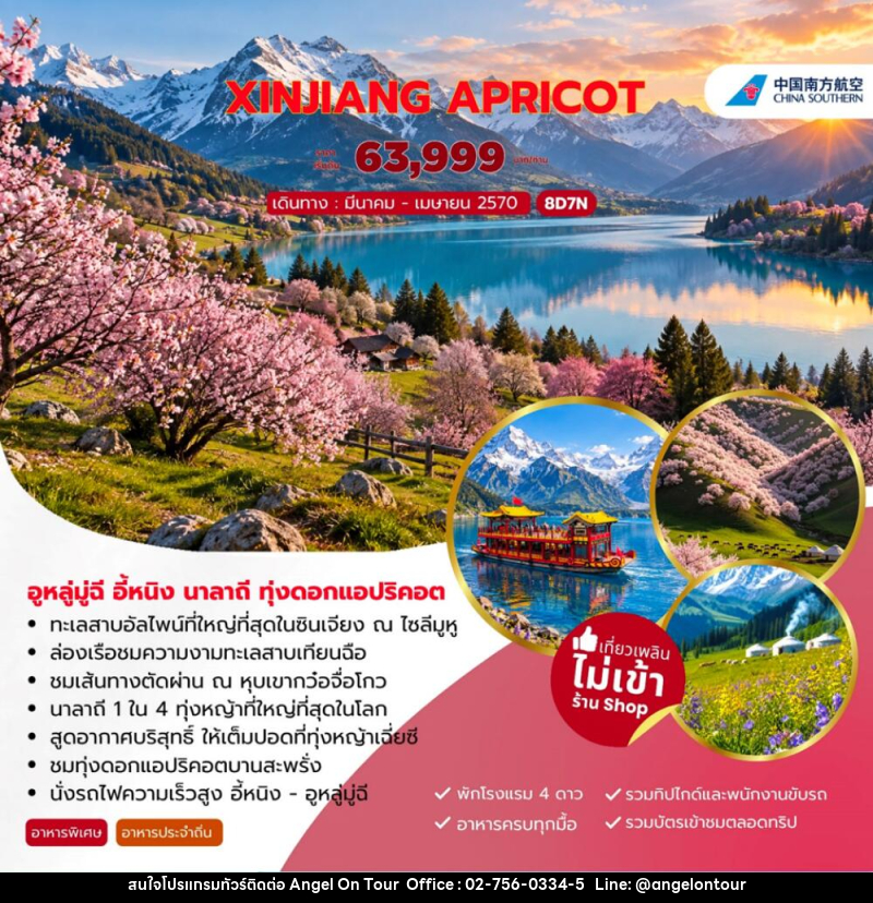 ทัวร์จีน XINJIANG APRICOT อูหลู่มู่ฉี อี้หนิง นาลาถี ทุ่งดอกแอปริคอต - บริษัท แองเจิลออนทัวร์ จำกัด