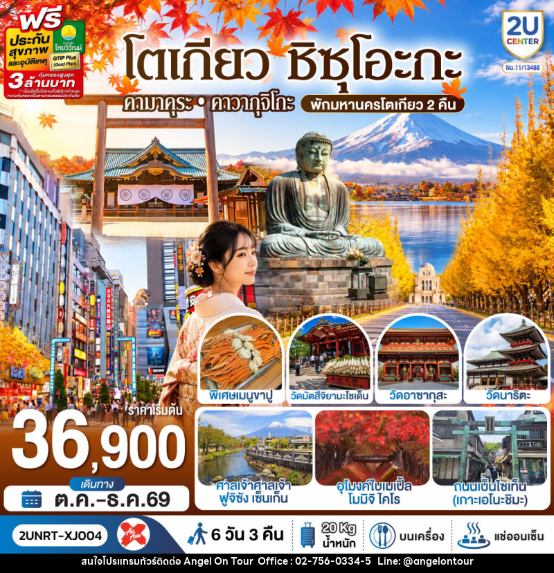 ทัวร์ญี่ปุ่น โตเกียว ชิซุโอะกะ คามาคุระ คาวากุจิโกะ (พักมหานครโตเกียว 2 คืน) - บริษัท แองเจิลออนทัวร์ จำกัด ทัวร์ญี่ปุ่น โตเกียว ชิซุโอะกะ คามาคุระ คาวากุจิโกะ (พักมหานครโตเกียว 2 คืน) - บริษัท แองเจิลออนทัวร์ จำกัด