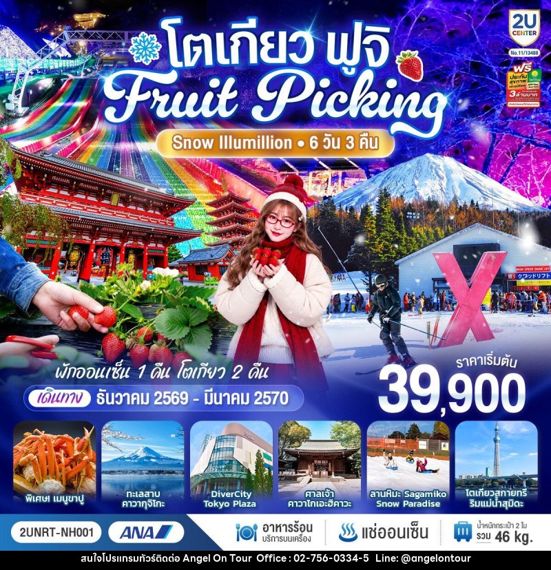 ทัวร์ญี่ปุ่น โตเกียว ฟูจิ FRUIT PICKING SNOW Illumillion - บริษัท แองเจิลออนทัวร์ จำกัด