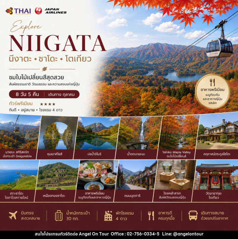 ทัวร์ญี่ปุ่น Wonderful Nigata นีงาตะ ซาโดะ โตเกียว - บริษัท แองเจิลออนทัวร์ จำกัด