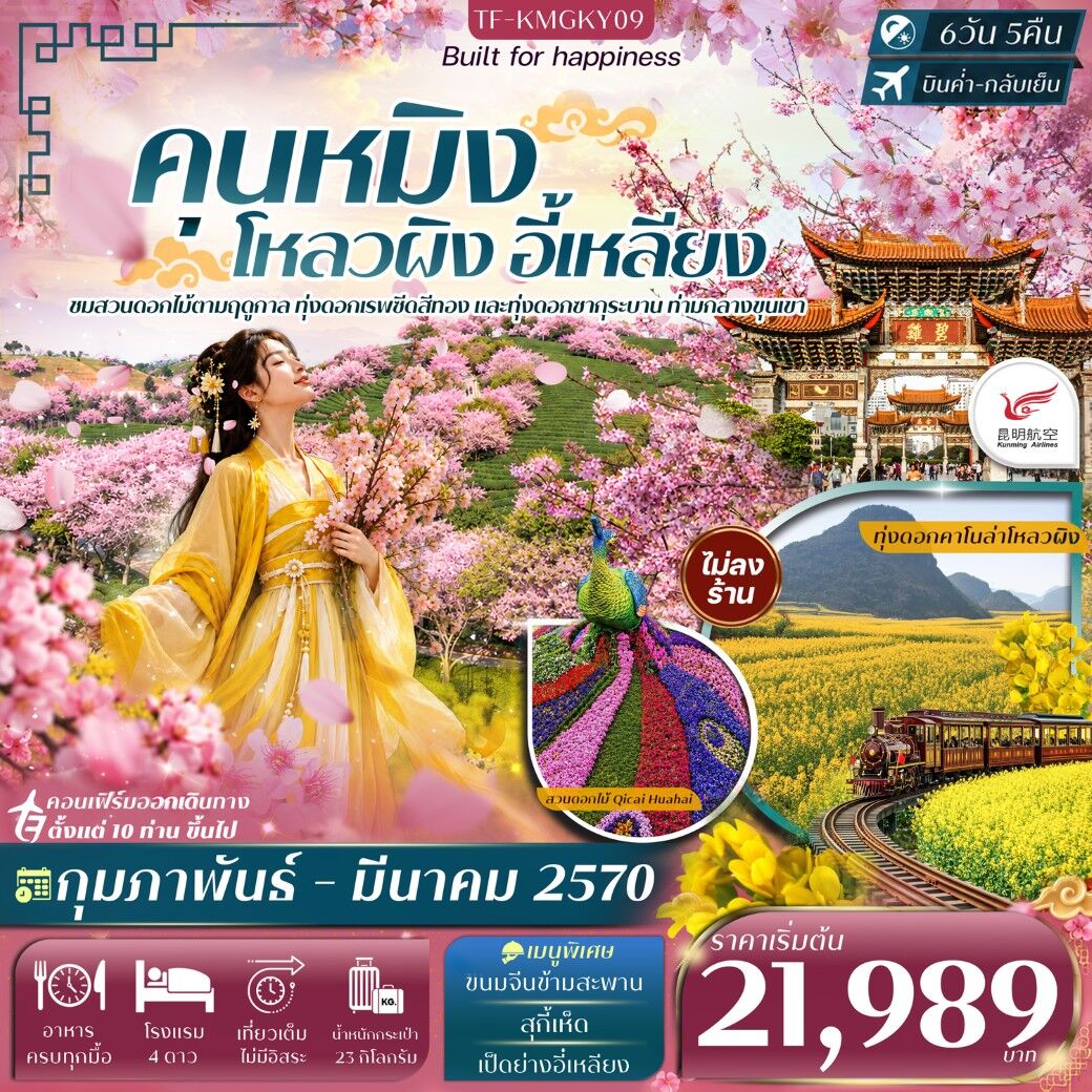 ทัวร์จีน คุนหมิง โหลวผิง ชมดอกมัสตาร์ด อี้เหลียง ชมสวนซากุระ - บริษัท แองเจิลออนทัวร์ จำกัด